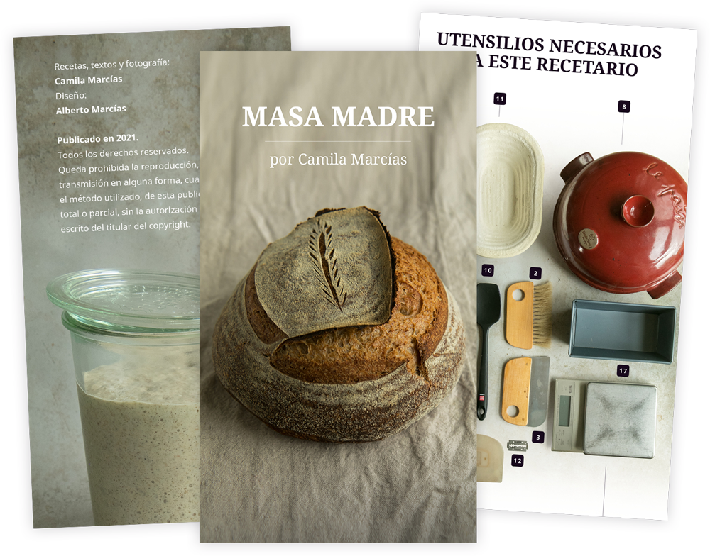 Preview del libro de Masa Madre por Camila Marcías