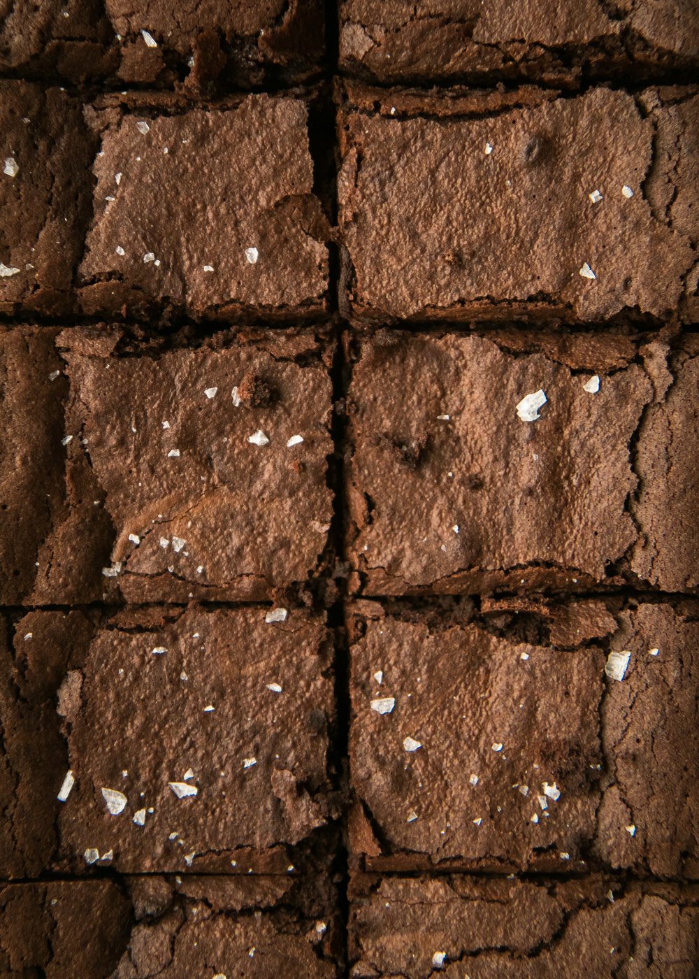 eBook Masa Madre - Brownie