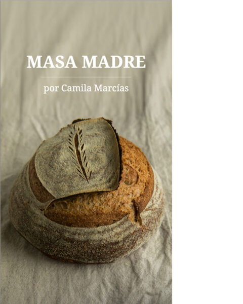 Masa Madre