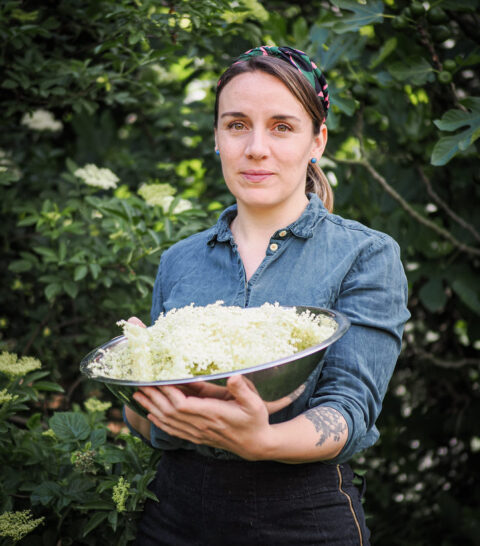 Publicaciones en De la Raíz a Plato